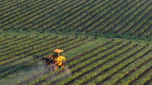 Aerial view of a yellow tractor working in the green vineyard rows during the morning light in Targon, Nouvelle-Aquitaine, France.