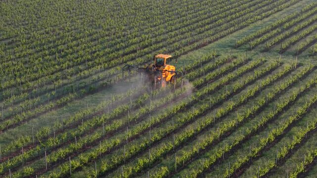 Aerial view of an orange tractor spraying rows of vines in a vineyard in Targon, Nouvelle-Aquitaine, France.