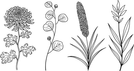 Una colección de botánicos dibujados a mano con varias flores, hojas y tallos de plantas de hierba silvestre © Rifat