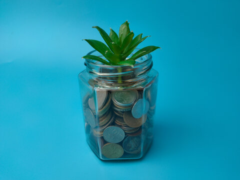 A small green plant grows out from the top of a clear glass jar packed with coins