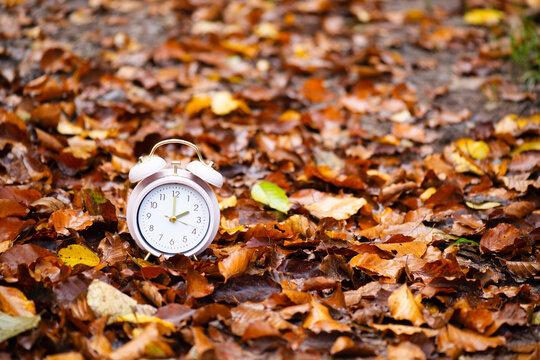 End of daylight saving time in autumn, winter time changeover, alarm clock fall back switch, colorful foliage in forest