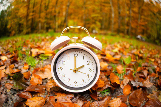 End of daylight saving time in autumn, winter time changeover, alarm clock fall back switch, colorful foliage in forest