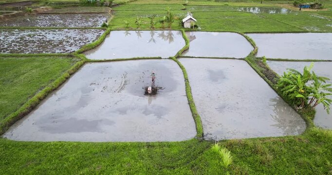 Balinese farmer is operating a power tiller in a water filled rice paddy field, preparing the fertile mud for planting rice on a traditional agriculture landscape. Rural scene in Bali, Indonesia