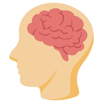 Brain Creativity Thinking Concept Icon
