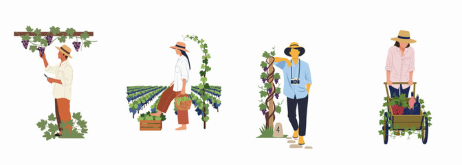 Fototapeta premium Flat vector illustrations depicting people harvesting grapes, working in vineyards, and transporting wine bottles, ideal for viticulture and agrotourism themes.
