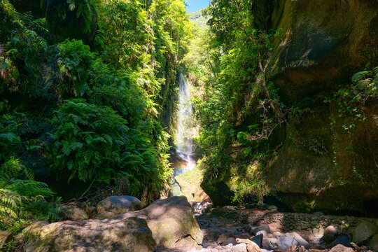 Los Tilos, La Palma, Canary Islands