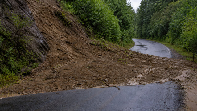 Mudslide Blocking Wet Winding Road Through Dense Green Forest