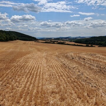 Harvested wheat field with rolling hills under dramatic summer clouds in Hungary