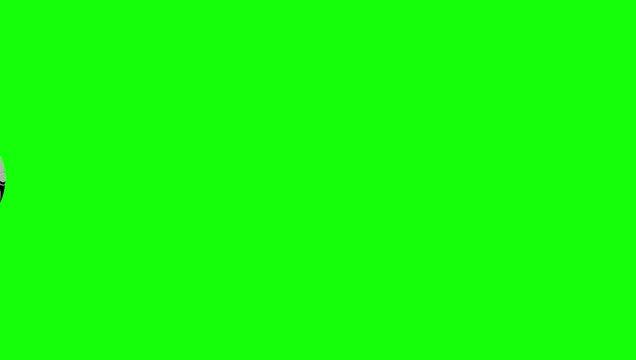 Green and White Screen on Green Screen Background Horizontal 16-9