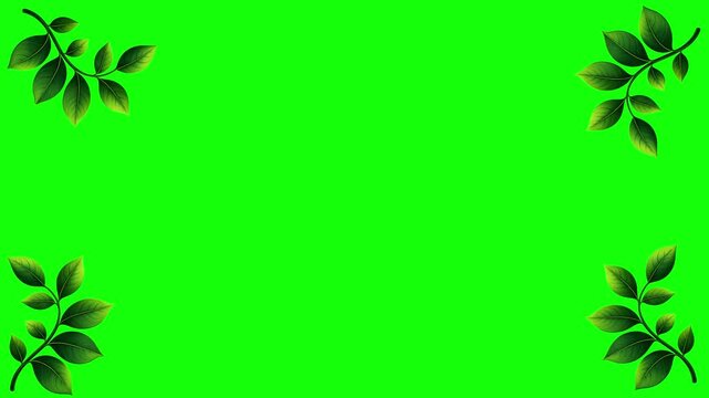 Green and White Screen on Green Screen Background Horizontal 16-9