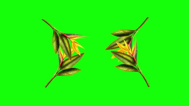 Green, Yellow, White Bird and Flower and Screen on Green Screen Background Horizontal 16-9