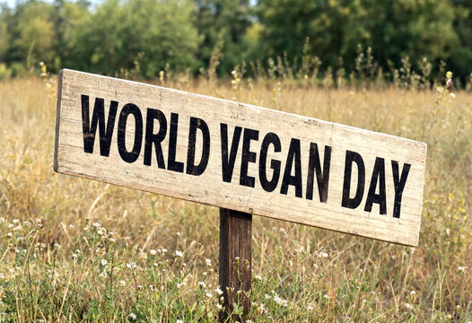 Wooden signpost in a grassy field celebrating world vegan day with natural background