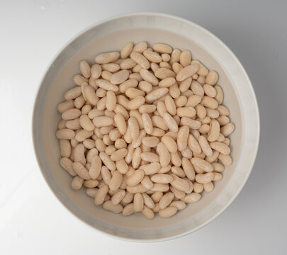 Soaked white beans, legume seeds in water