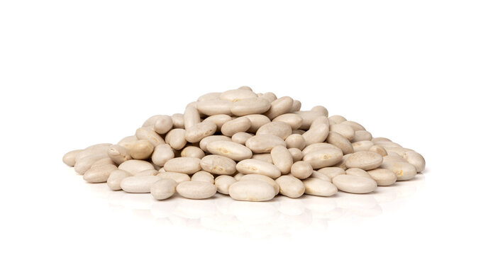 White kidney bean, dry cannellini beans pile