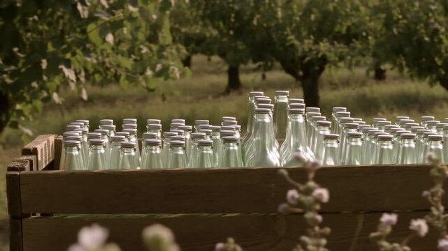Rows of clear glass bottles with metal caps packed on wooden crate in orchard under warm daylight, low-angle horizontal composition emphasizing repetition and rustic packaging mood