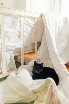 black cat on white duvet on the floor on laundry day