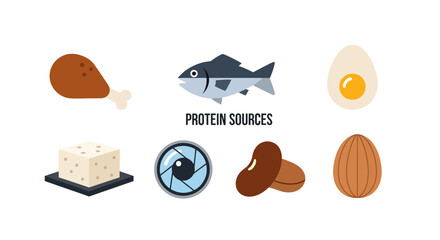 Variety of Protein Food Sources Displayed. © Supri