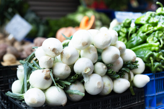 Peeled bulb onion with sprout are in box in grocery store.