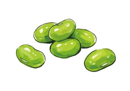 Appetizing edamame illustration with glossy green pods, fresh juicy texture and vibrant food styling ／ シズル感のある枝豆のイラスト、艶のある緑色のさやとみずみずしい質感を表現した美味しそうなフードイラスト