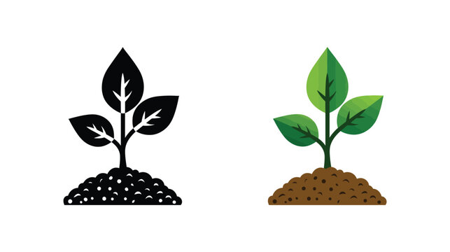 Plant vector illustration showing young sapling growth