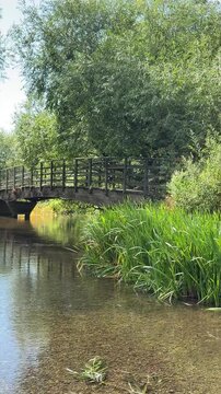 Wooden arched bridge over a tranquil river with green lush grass and trees swaying in the wind.