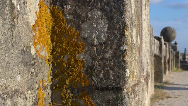 Detalle macro de la muralla romana de Lugo, mostrando la textura, irregularidades y desgaste de sus antiguas piedras.