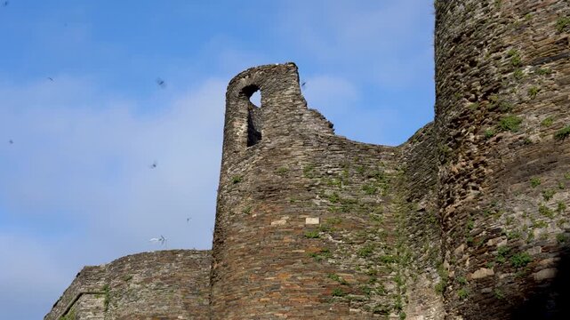 Detalle de una torre de la muralla romana de Lugo, mostrando su s&oacute;lida construcci&oacute;n de piedra y su valor hist&oacute;rico dentro del conjunto defensivo de la ciudad.