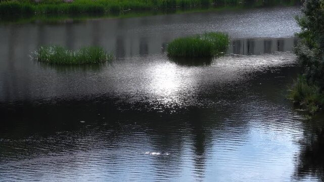 Detalle del r&iacute;o Mi&ntilde;o a su paso por Lugo, mostrando el movimiento del agua, los reflejos y la vegetaci&oacute;n de sus orillas.