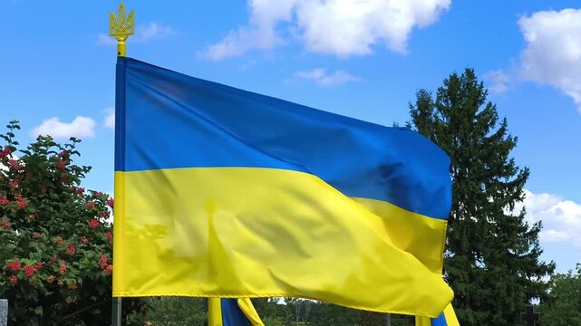Ukrainian flag waving on flagpole against sky and trees
