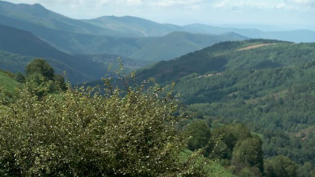 Vista panor&aacute;mica de un valle de Galicia, con colinas verdes, vegetaci&oacute;n abundante y un paisaje natural caracter&iacute;stico del noroeste de Espa&ntilde;a.