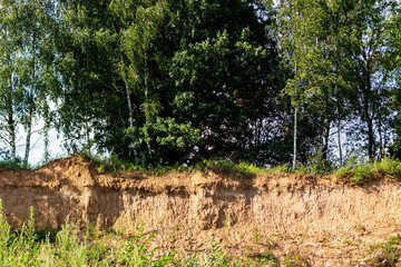 Fototapeta premium Steep sandy cliff edge covered with fresh green grass and tall birch trees growing on top under the bright summer sunlight in a peaceful rural area