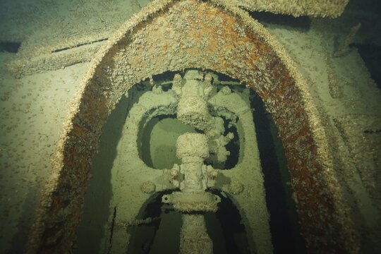 Rusty machine structure of a ship with mussels, quagga triangle mussel (Dreissena rostriformis bugensis), invasive species, shipwrecks under water, dive site wreck of the Jura, Lake Constance, Bottighofen, Switzerland, M&uuml;nsterlingen, Germany