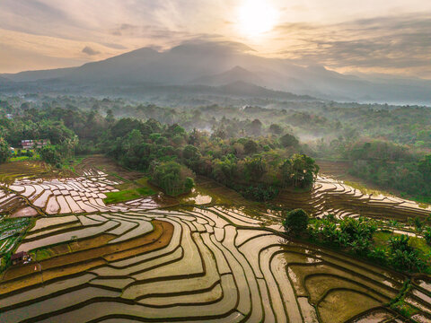 Aerial view of Tegalalang rice terraces at sunrise with lush greenery, mist, and mountains in the background in Tegalalang, Bali, Indonesia.