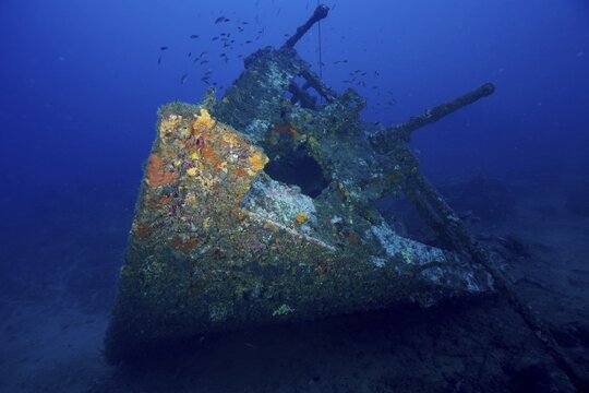 The bow of a shipwreck under water covered with sea sponges in the Mediterranean near Hy&egrave;res, dive site Wreck Michel C, Giens Peninsula, Porquerolles, Provence, C&ocirc;te d'Azur, Mediterranean, France