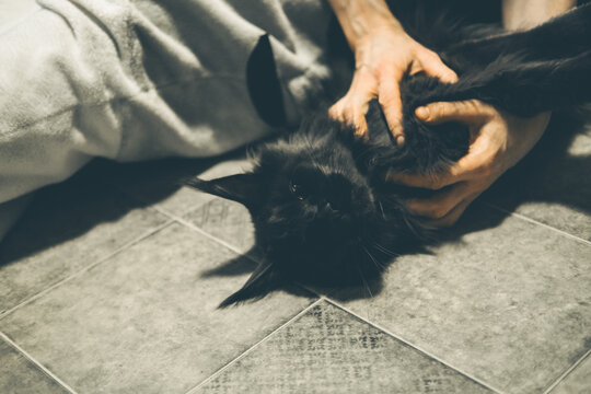 A person with light skin and short hair plays with a black domestic cat on a tiled floor. The cat appears relaxed and is being gently held.