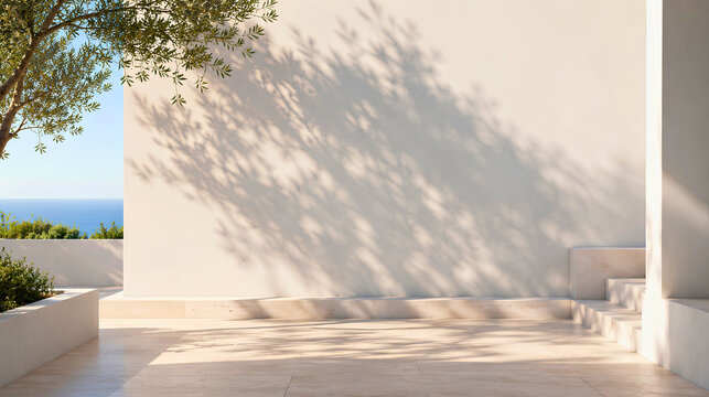 Serene empty white stone courtyard with the shadow of an olive tree branch