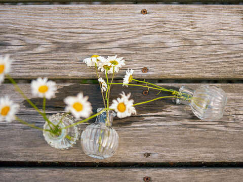 tipped over daisy bouquets