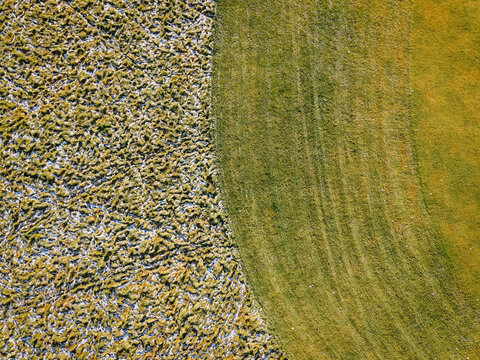 Aerial view of a golf course showing the contrast between frosted grass and green turf with visible tire tracks in Valmiera, Valmiera, Latvia.
