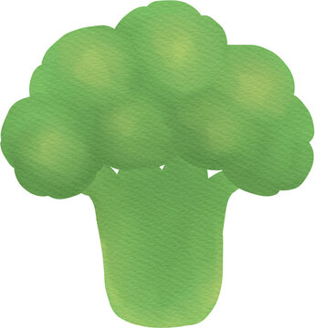 Cute Watercolor Broccoli
