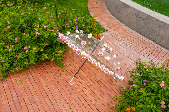 Beautiful Umbrella with flowers in the garden,rain and sun weather on a warm autumn or sumemr day,umbrella under heavy fall shower,Stormy rainy weather season concept.