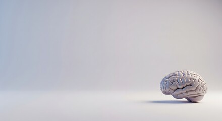 Naklejka premium A realistic model of a human brain resting on a neutral gray surface with ample copy space.