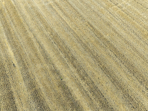 Aerial view of a harvested wheat field with distinct tractor tracks across the golden stubble in Ottenhofen, Bayern, Germany.