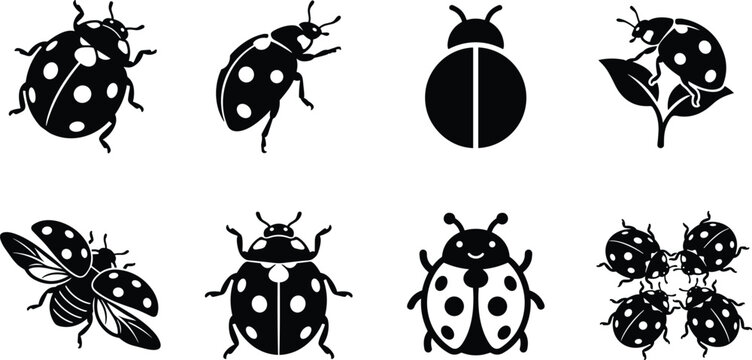 Ladybug icons set vector illustration featuring cute bugs, flying ladybirds, spots, and leaf elements in black silhouettes