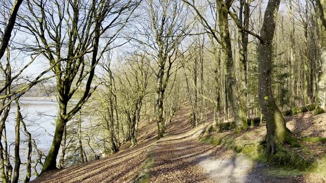 View over Hald Lake from Dollerup bakker, Viborg, Denmark. Tree row avenue at Hald lake. Heather lands. The Manor House of Hald in Dollerup, beautiful location of this historical building. Forest