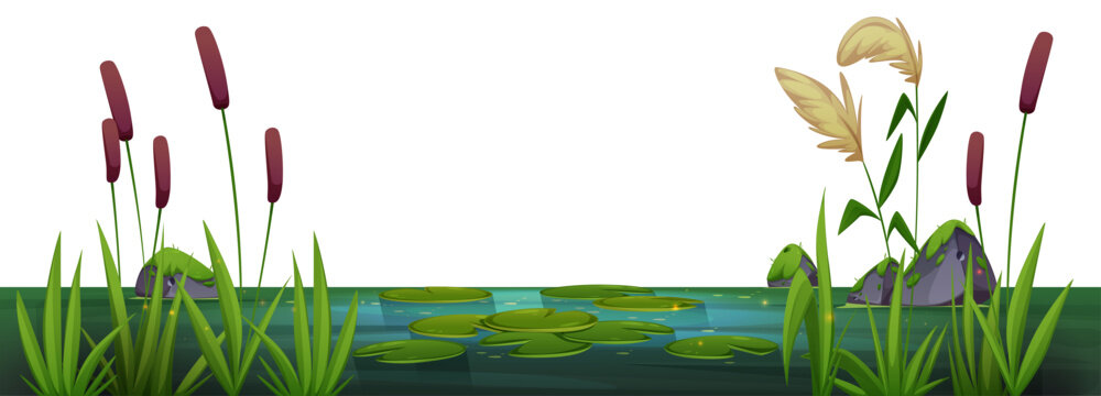 Swamp Lake Landscape