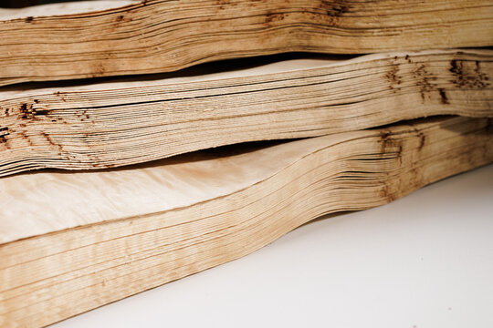 Wooden texture of beautiful wood