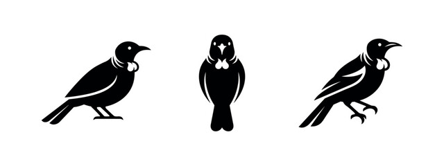Fototapeta premium Tui Bird Silhouettes Set - New Zealand Native Bird Icons, Endemic Wildlife Vector