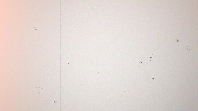 Vintage Super8 Film Leader Background with Authentic Grain and Scratches for Retro Cinema Aesthetic 4k video
