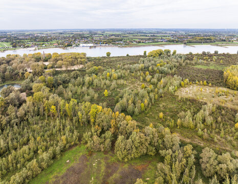 Aerial view of nature reserve Millingerwaard with lush autumn foliage, river Waal and dense woodland in Millingen aan den Rijn, Gelderland, Netherlands.