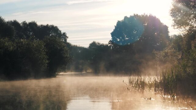 Morning landscape showing fog moving over calm river surface with sun rays shining through trees. Serene atmosphere for relaxing natural background scene. View from boat sailing on the river at dawn.